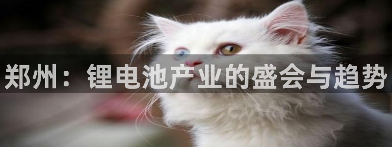 usdt数量查询：郑州：锂电池产业的盛会与趋势