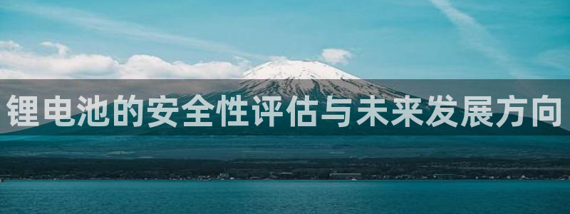 usdt区块链浏览器trc20：锂电池的安全性评估与未来发展方向