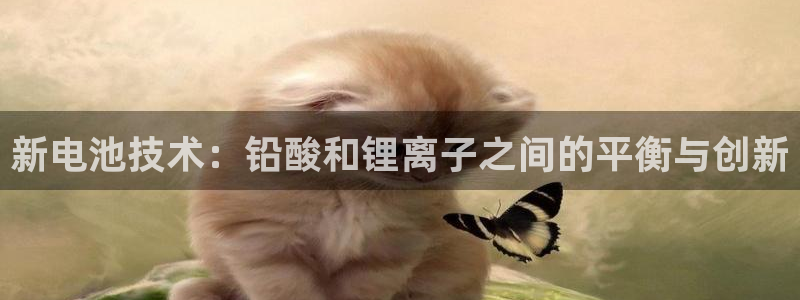 usdttrc20钱包下载手机版 苹果：新电池技术：铅酸和锂离子之间的平衡与创新