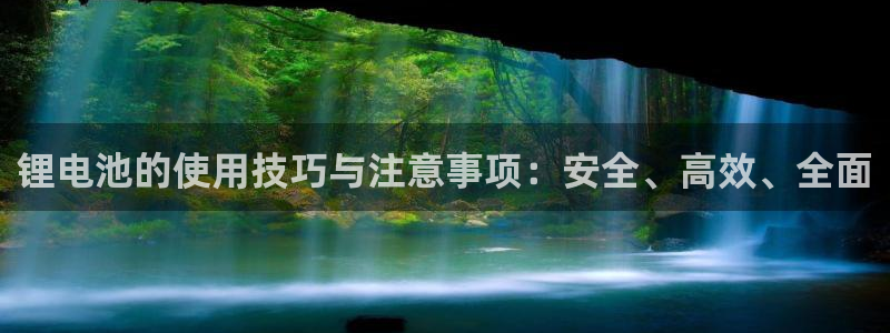 usdt钱包服务器搭建：锂电池的使用技巧与注意事项：安全、高效、全面