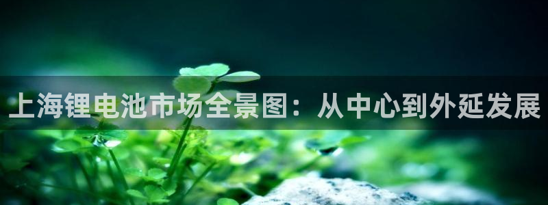 usdt钱包被盗：上海锂电池市场全景图：