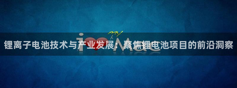 usdt合法么：锂离子电池技术与产业发展：聚焦锂电池项目的前沿洞察