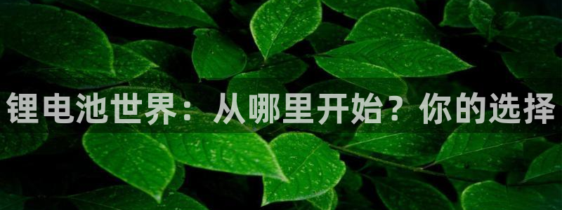 usdt交易平台合法吗：锂电池世界：从哪里开始？你的选择
