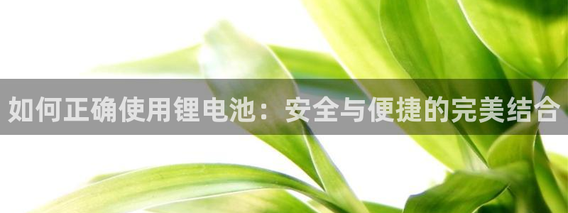 usdt官网用美金怎么买：如何正确使用锂电池：安全与便捷的完美结合