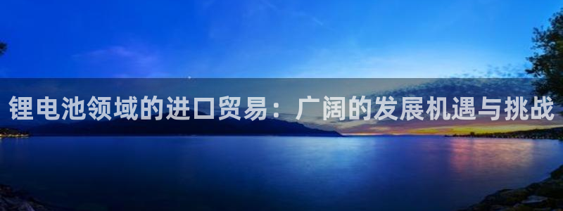 usdt币合法吗：锂电池领域的进口贸易：