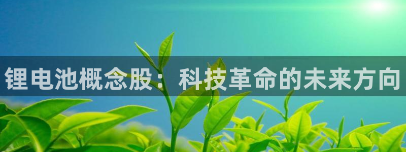 usdt erc20怎么下载：锂电池概念股：科技革命的未来方向