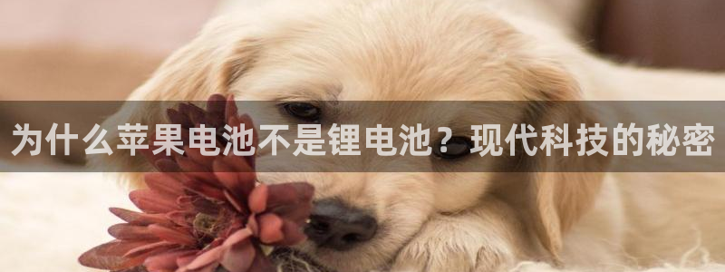 usdt钱包官网：为什么苹果电池不是锂电池？现代科技的秘密